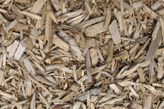 biomass boilers Eskadale